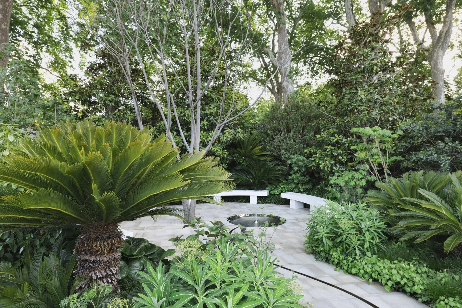 Installation Photography_Tate Garden_Chelsea Flower Show_2026_19.jpeg