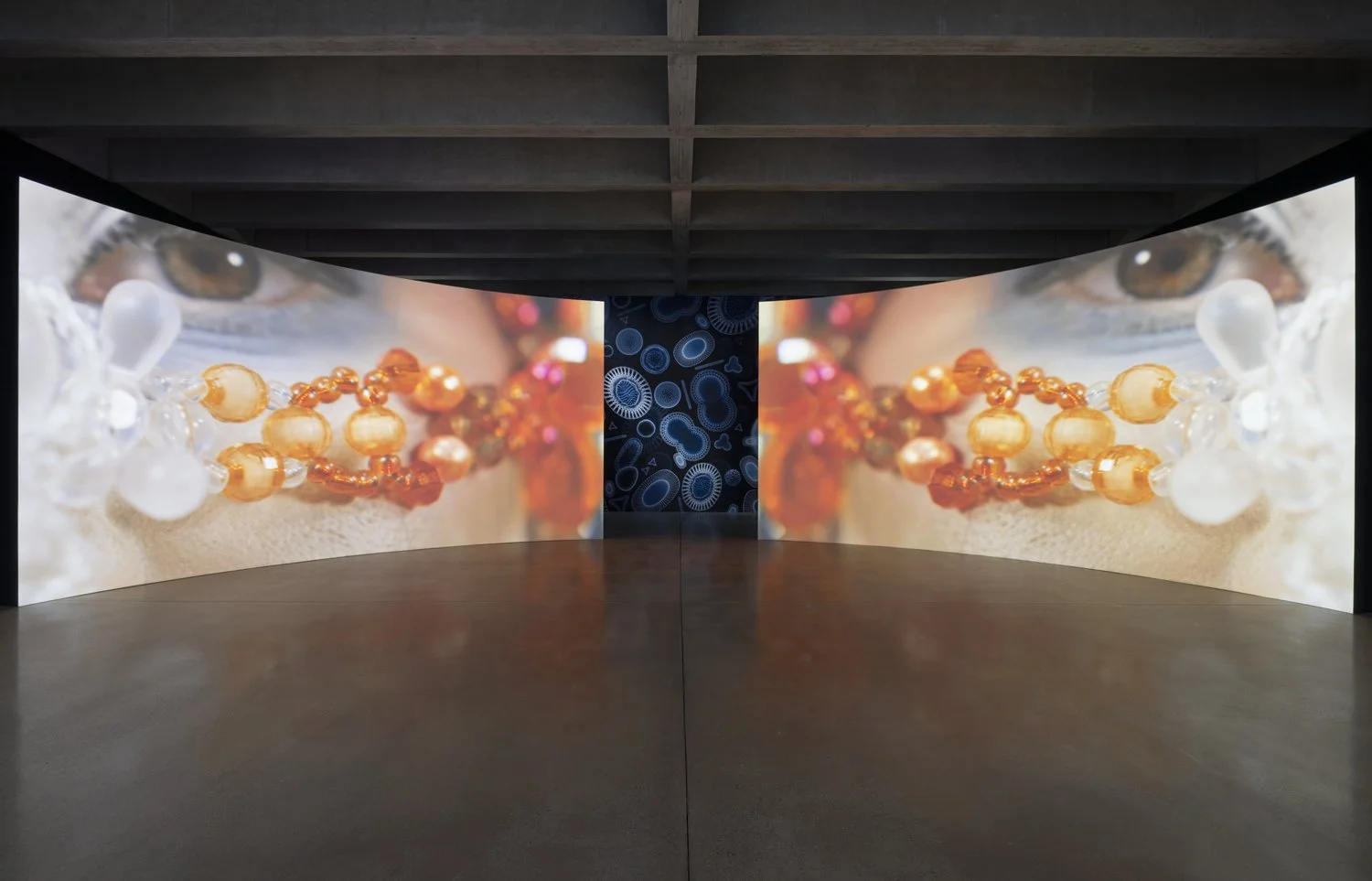 Installation Photography_Emilija Škarnulytė_2026_015.jpeg