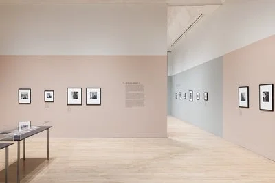 Press Photography of Lee Miller at Tate Britain_2025_09.jpeg