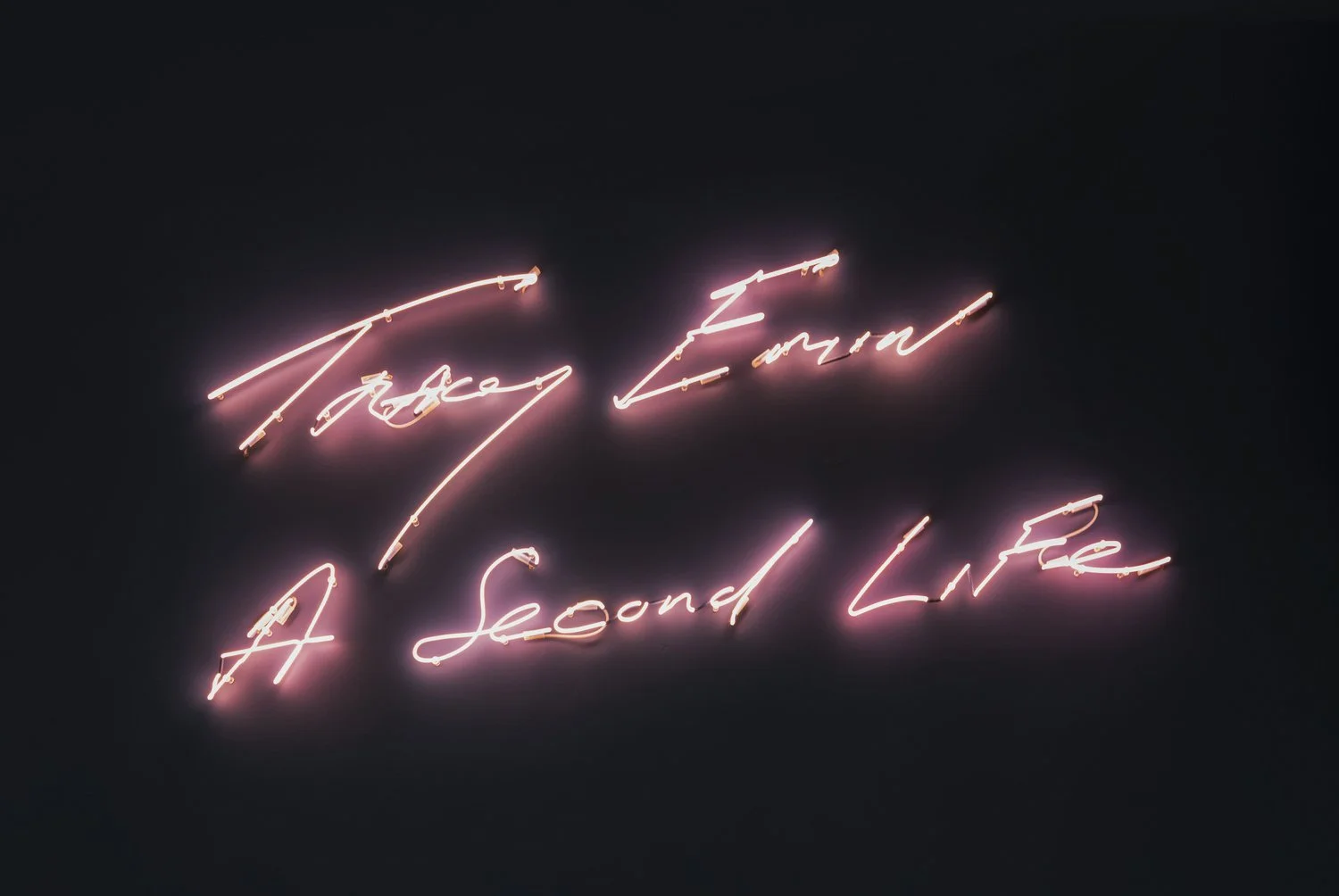 Press Photography of Tracey Emin_Tate Modern_2026_62.jpg
