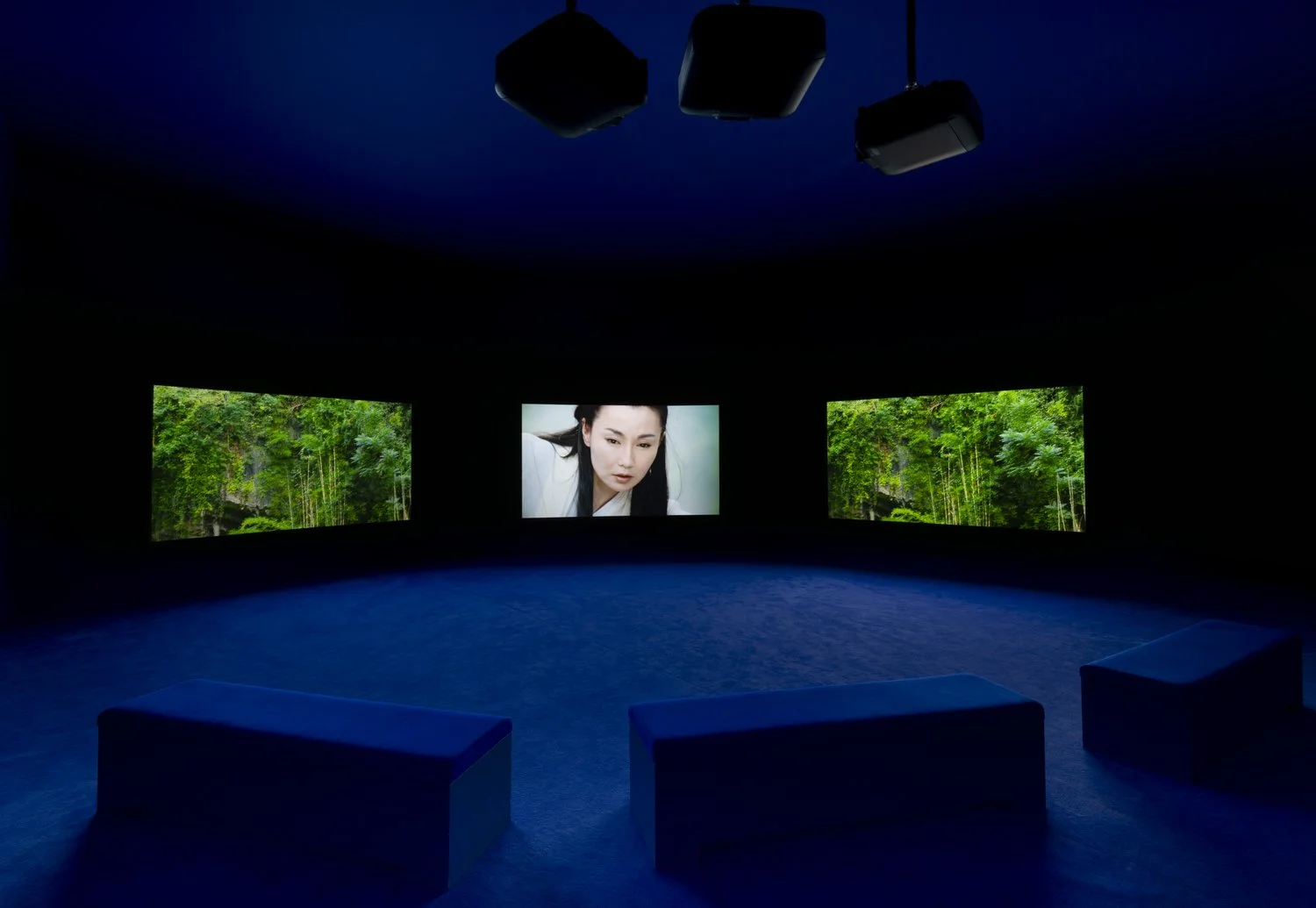 Installation Photography of Isaac Julien, 2023_061.jpeg