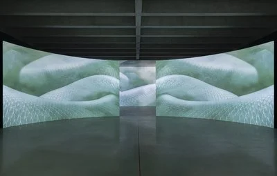 Installation Photography_Emilija Škarnulytė_2026_002.jpeg