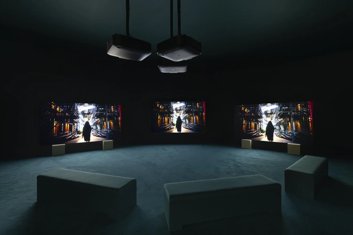 Installation Photography of Isaac Julien, 2023_033.jpeg