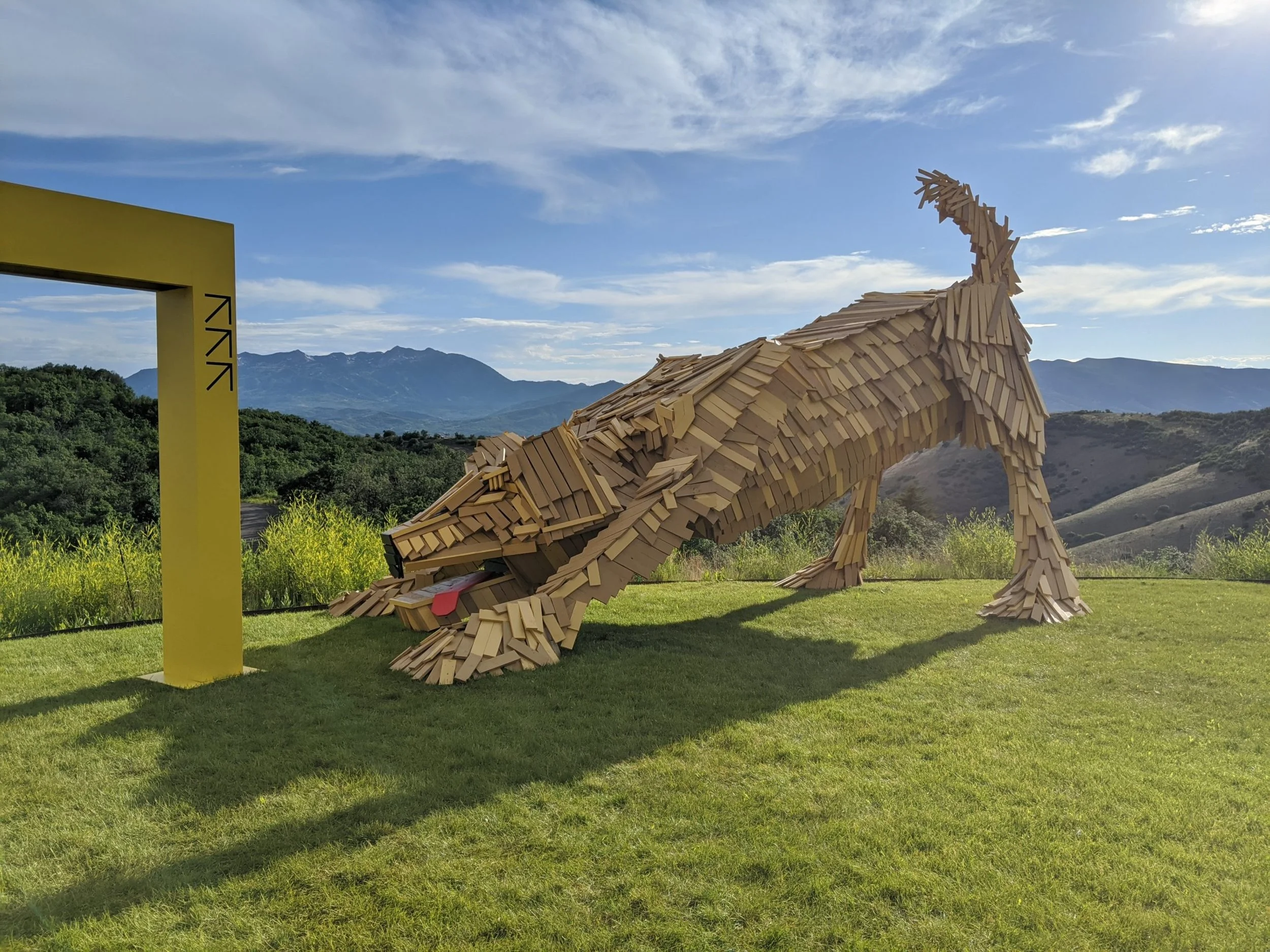 IMG_20200624_185821-1-scaled (1).jpg