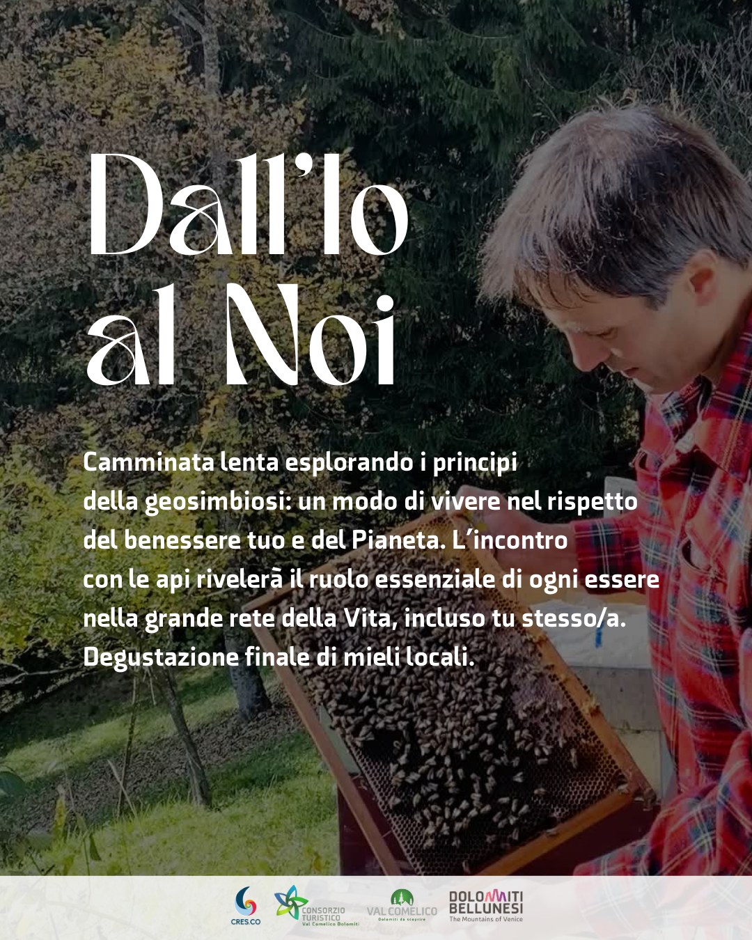 Dall'Io al Noi 🐝