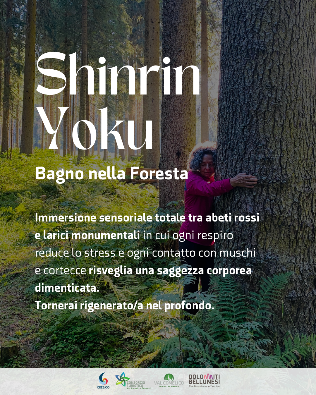 Shinrin Yoku - Bagno nella Foresta
