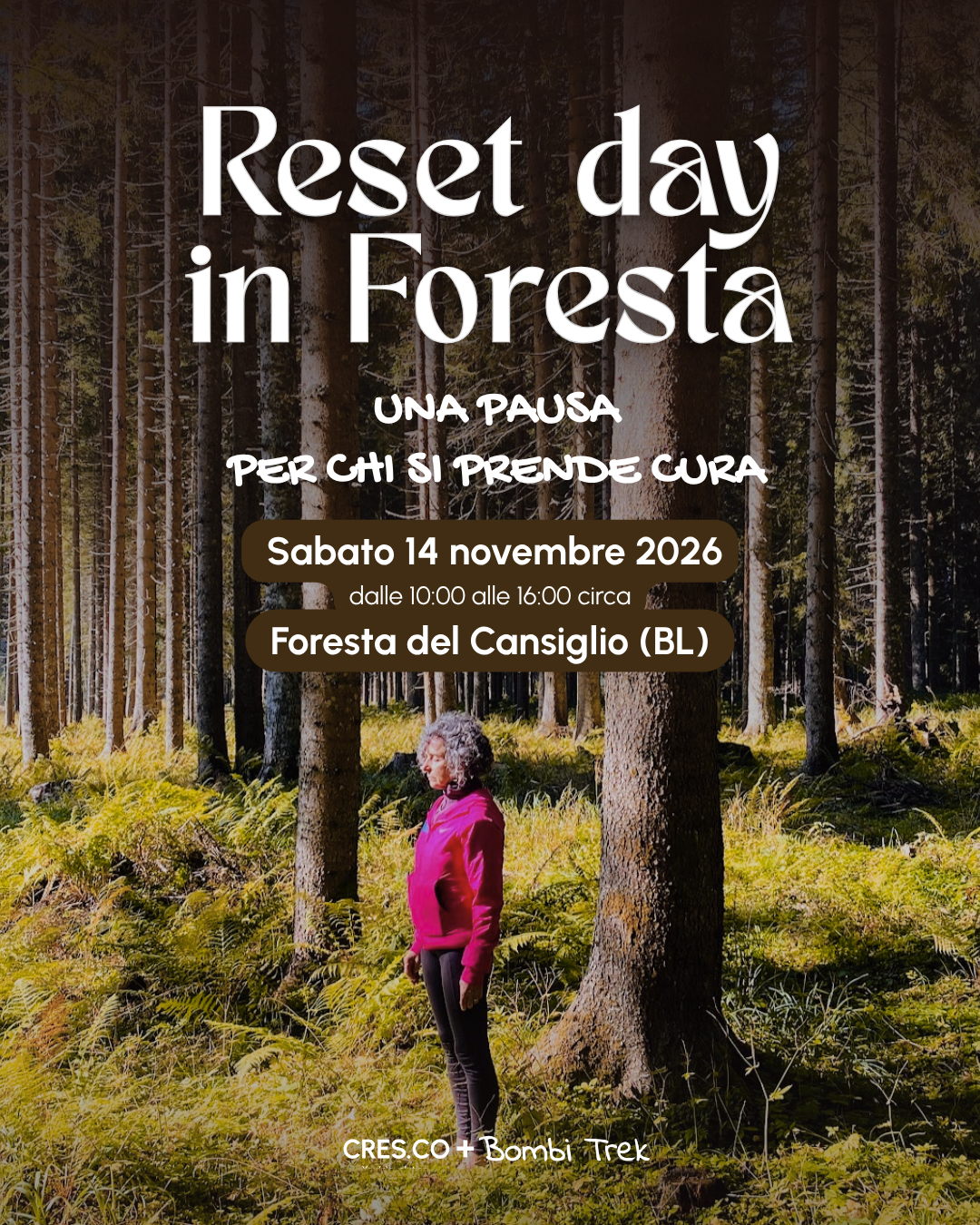 Reset Day in Foresta