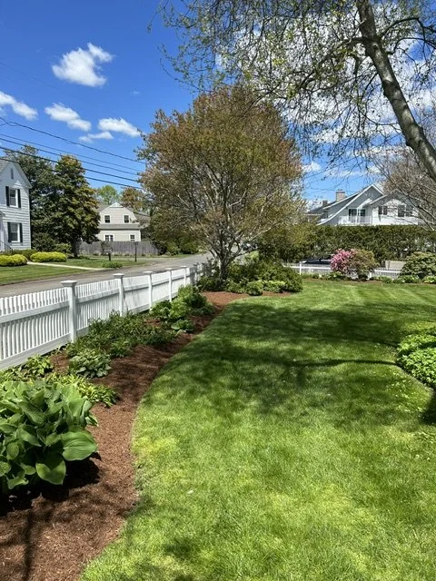 Garden Design and Maintenance