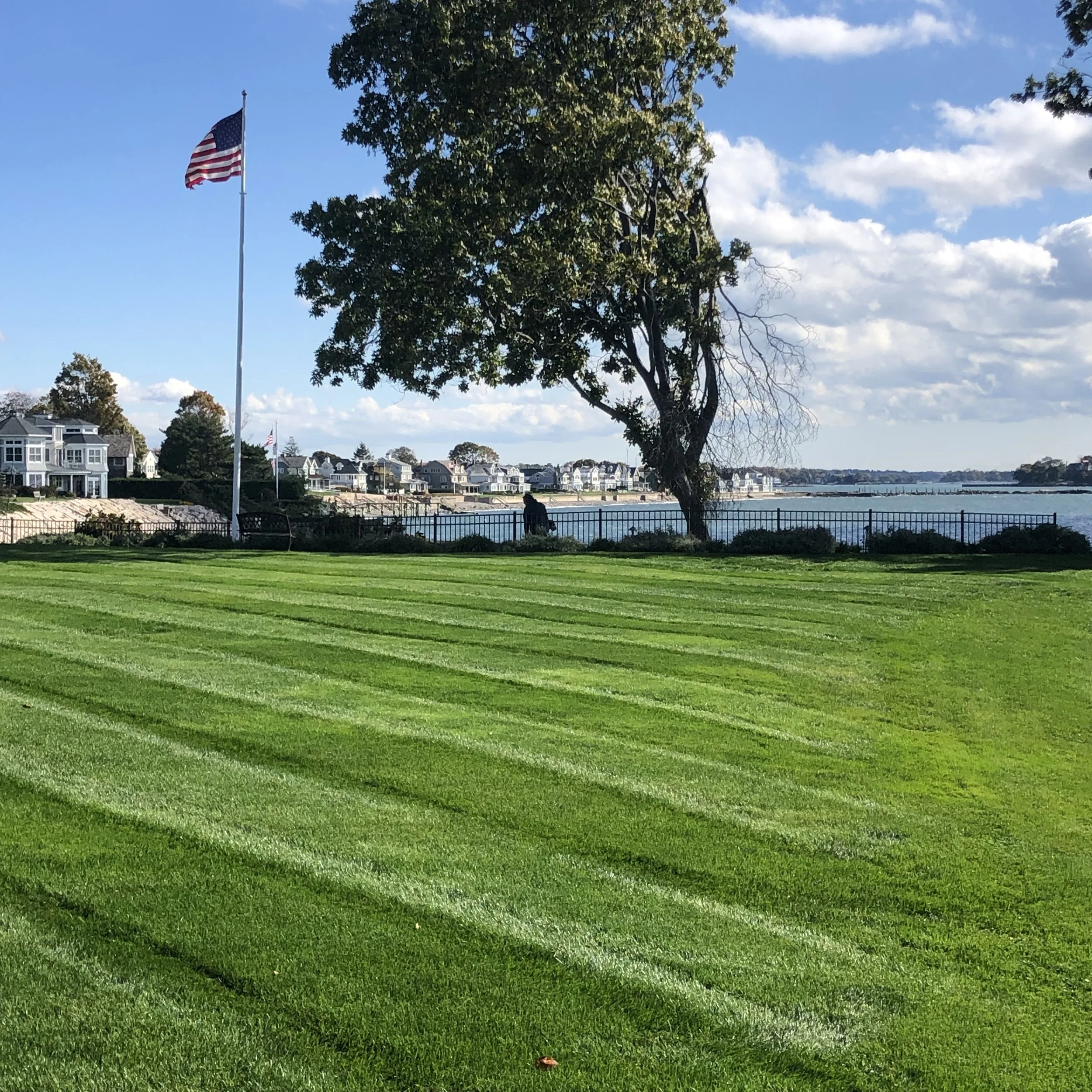 Lush green lawn stretching toward a lake, with a large tree, American flag on a tall pole, residential houses by the water, and partly cloudy blue sky.
