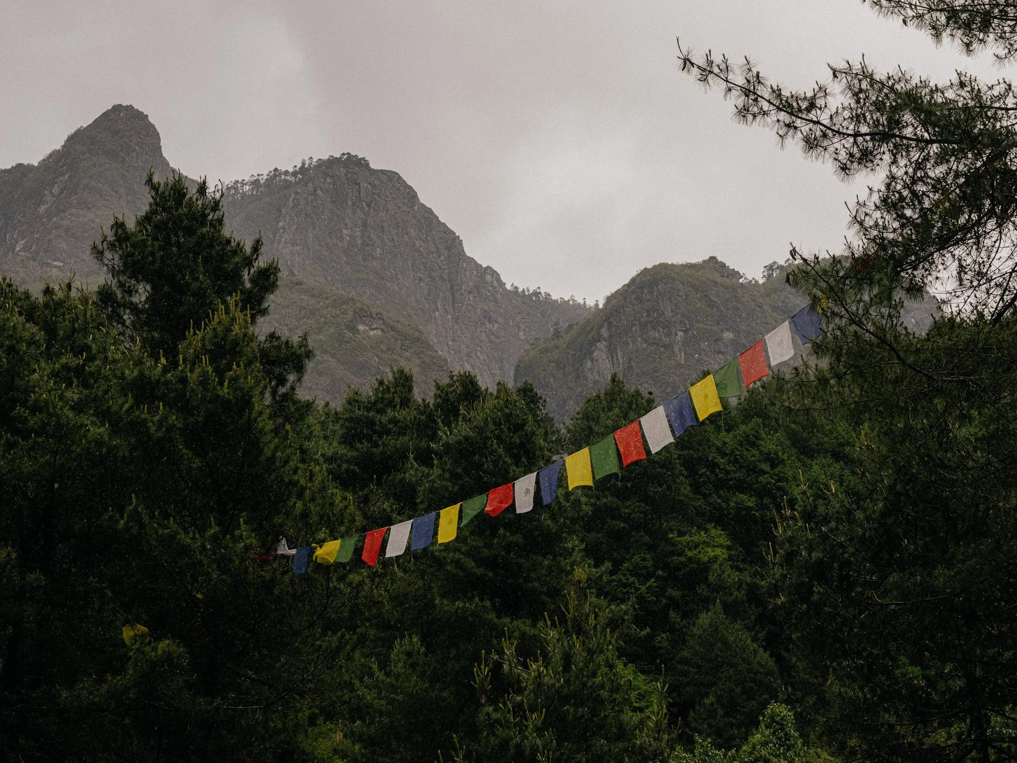 Mountain range with trees in the foreground and colorful prayer flags hanging across the scene.