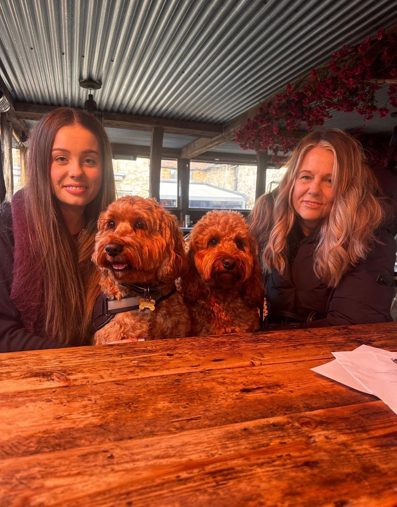 Two women sitting at a wooden table with two curly-haired dogs between them; everything is in a rustic, covered outdoor setting.
