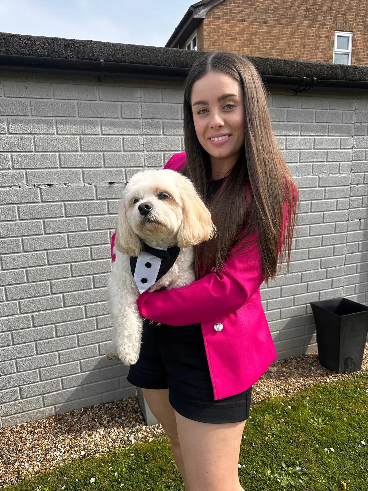 wedding chaperone for dogs. dog to be brought to wedding venue. dog sitting while at wedding