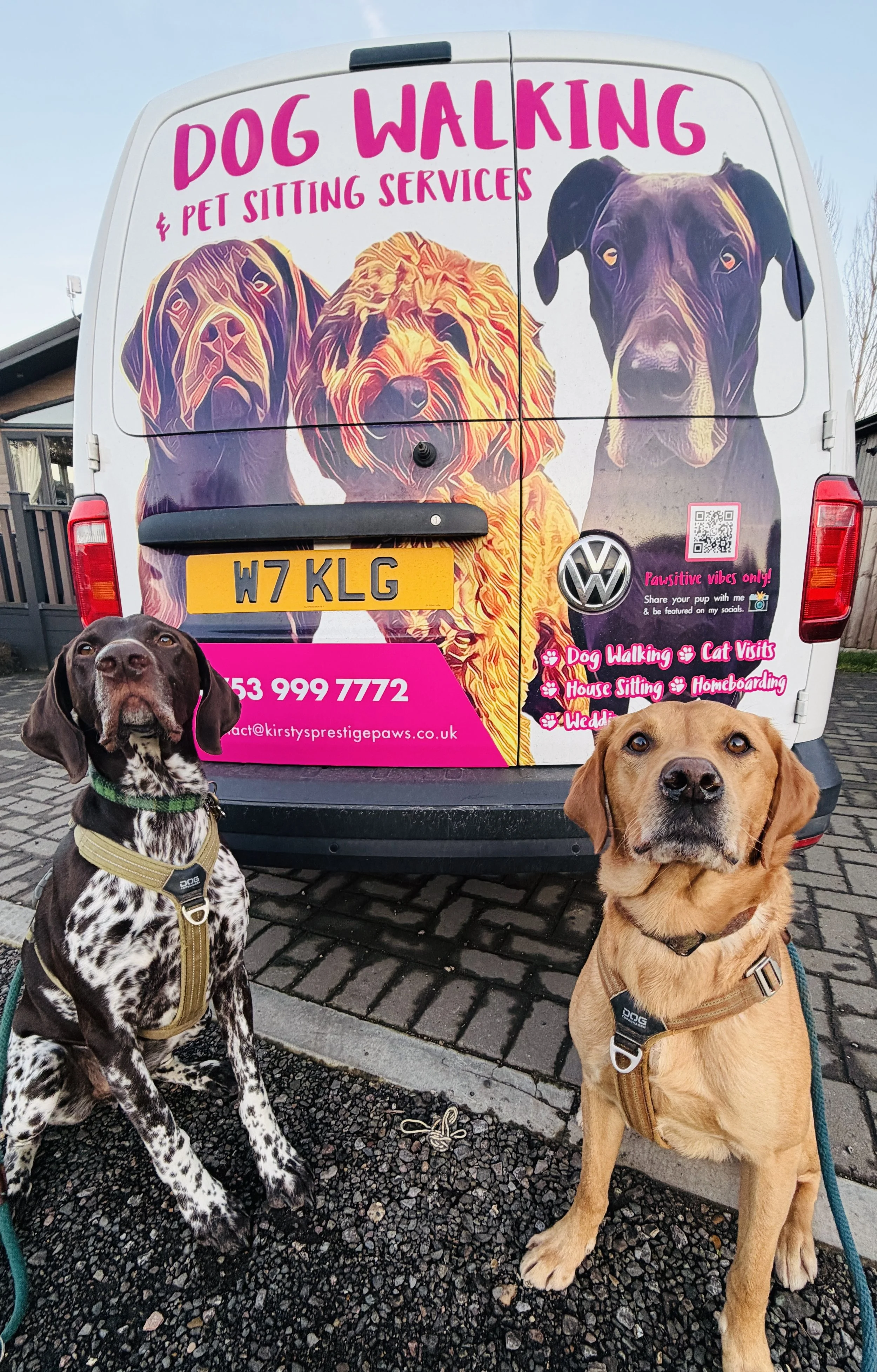 dog walking and pet sitting services available in maidstone. maidstone pet sitting. tunbridge dog walking.