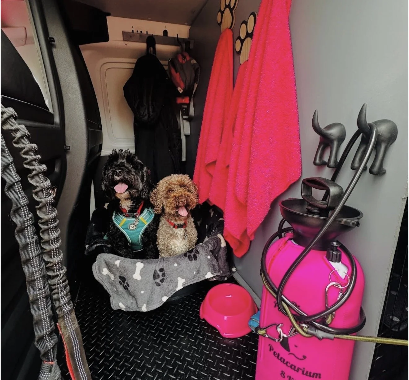 Two dogs sitting in a blanket inside a vehicle, with pink towels hanging on the wall, a water bowl, and a pink pet oxygenator.