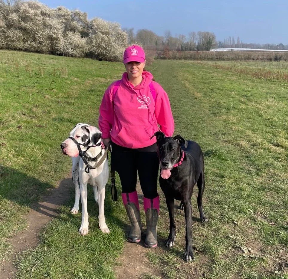 A woman in pink outdoor clothing standing on a grassy trail with two large dogs, one black and one white with black spots, in a rural landscape during daytime.