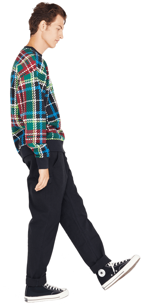 PLAID+CREW+SKATE_556.png