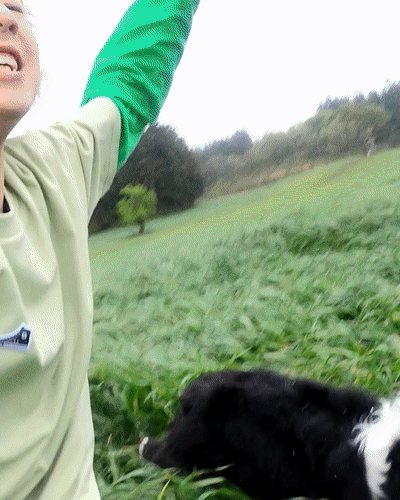 ezgif-2-fb84057c1a.gif