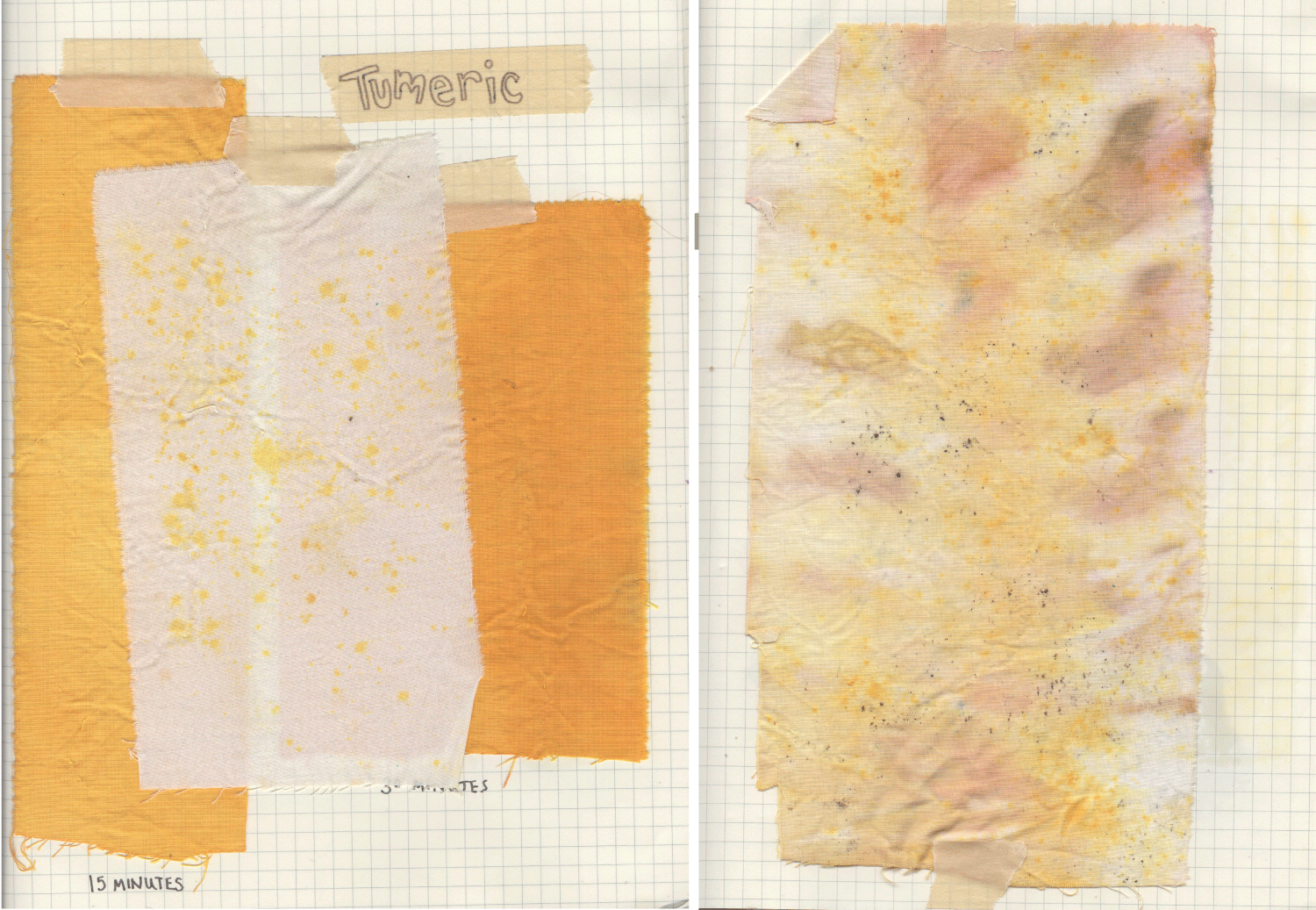TUMERIC.png