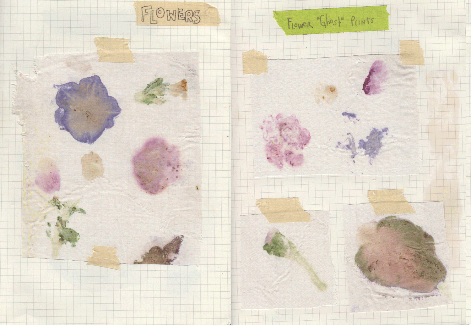 FLOWERS1.png
