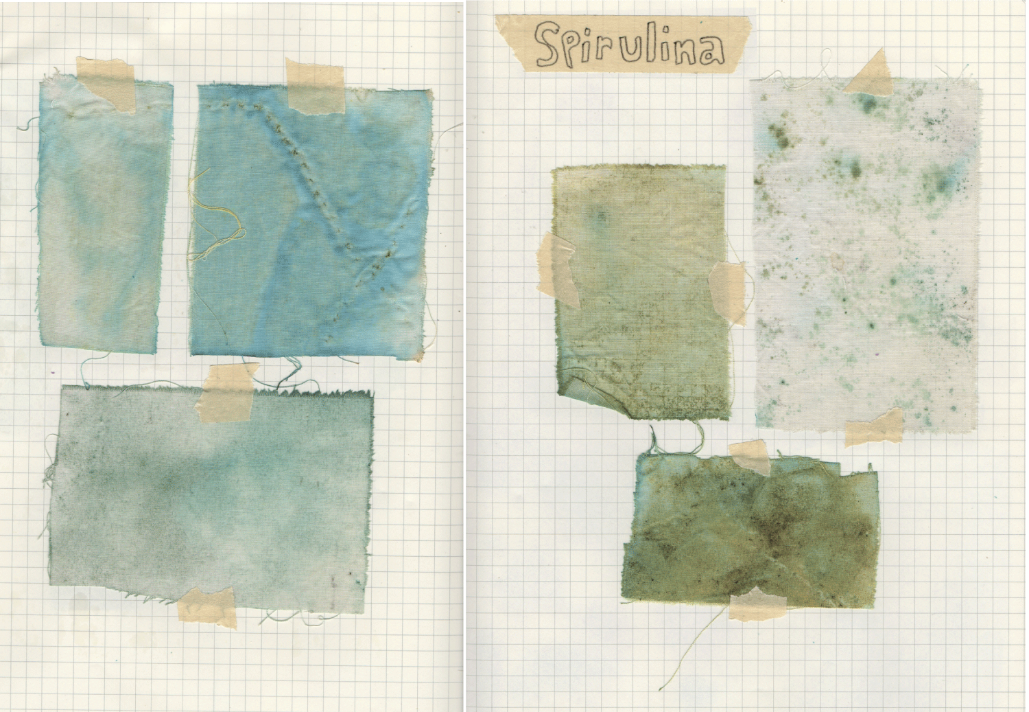 SPIRULINA.png