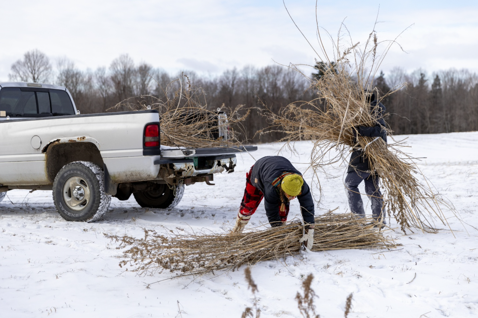 Collecting fiber samples