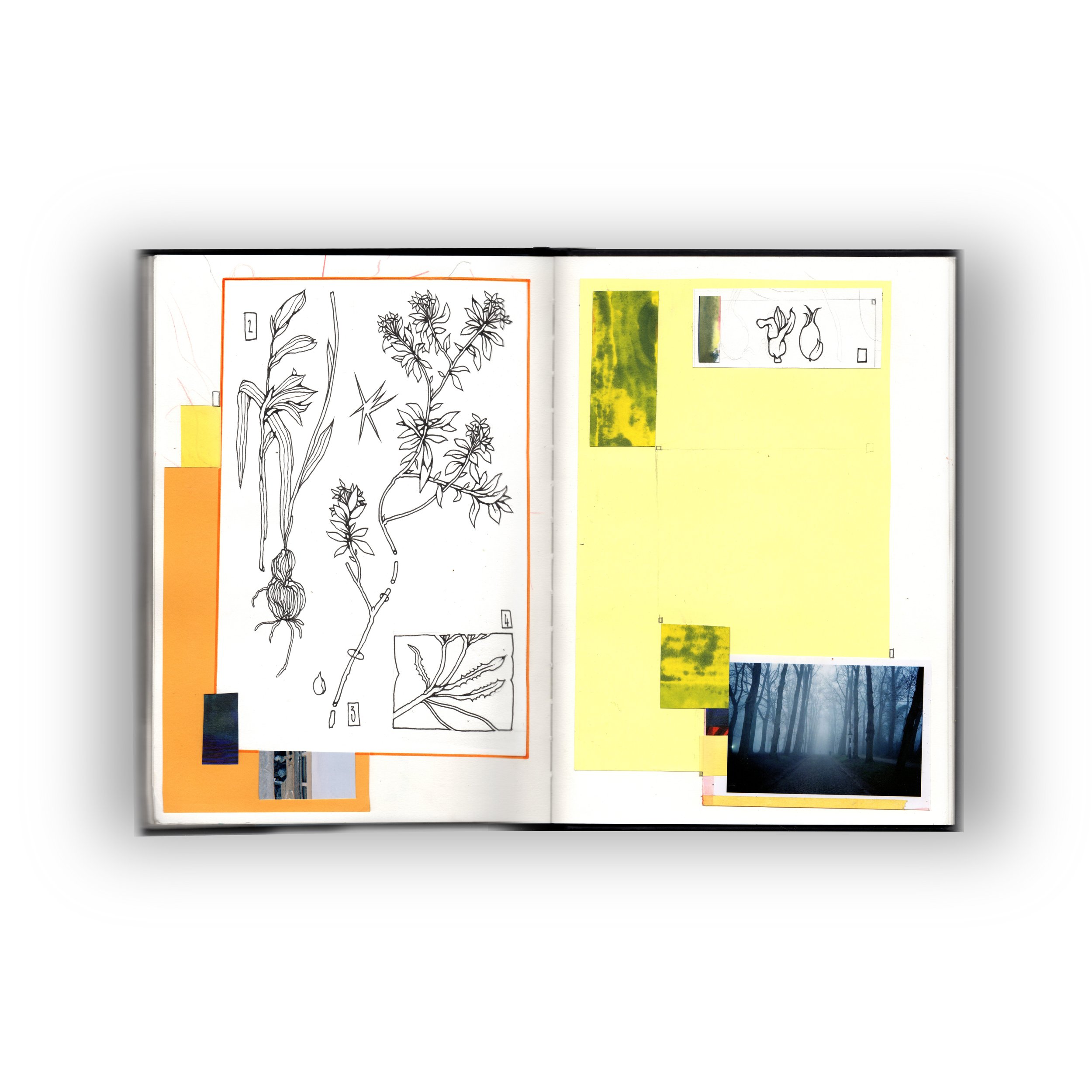 SKETCHBOOK - 2025 mai.jpg