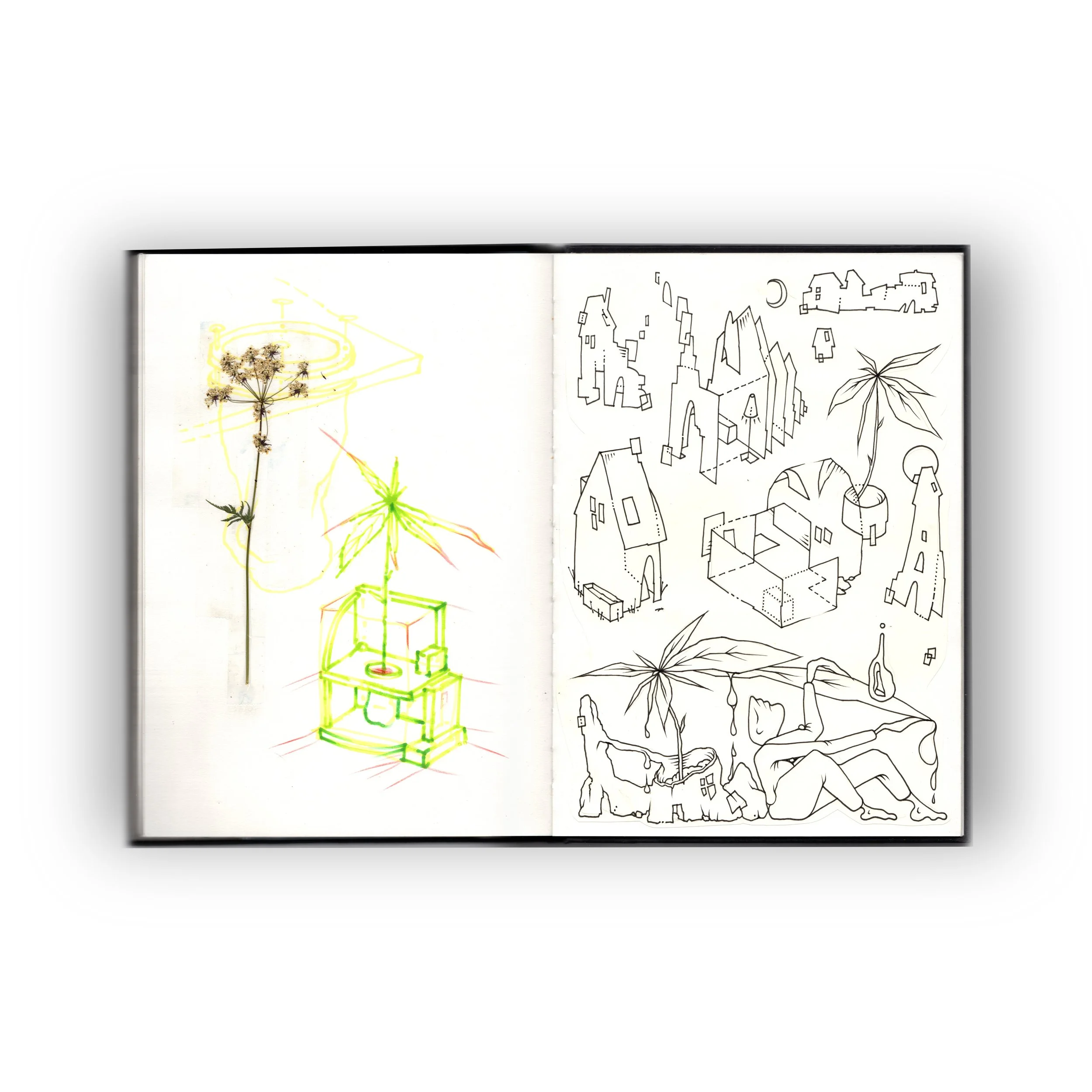 #5 - JUIN SKETCHBOOK 2025.jpg