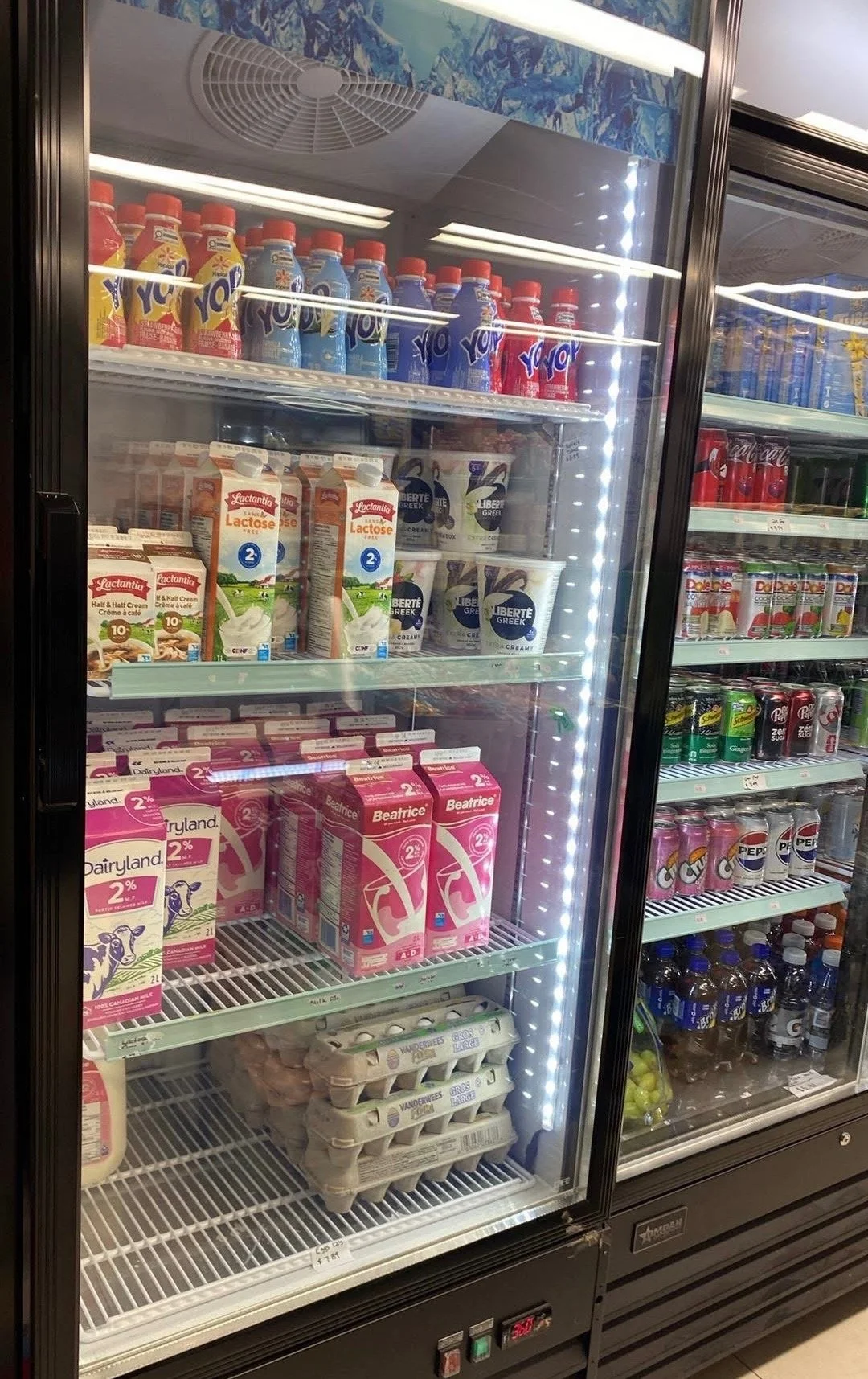 Mang Shop cooler 2