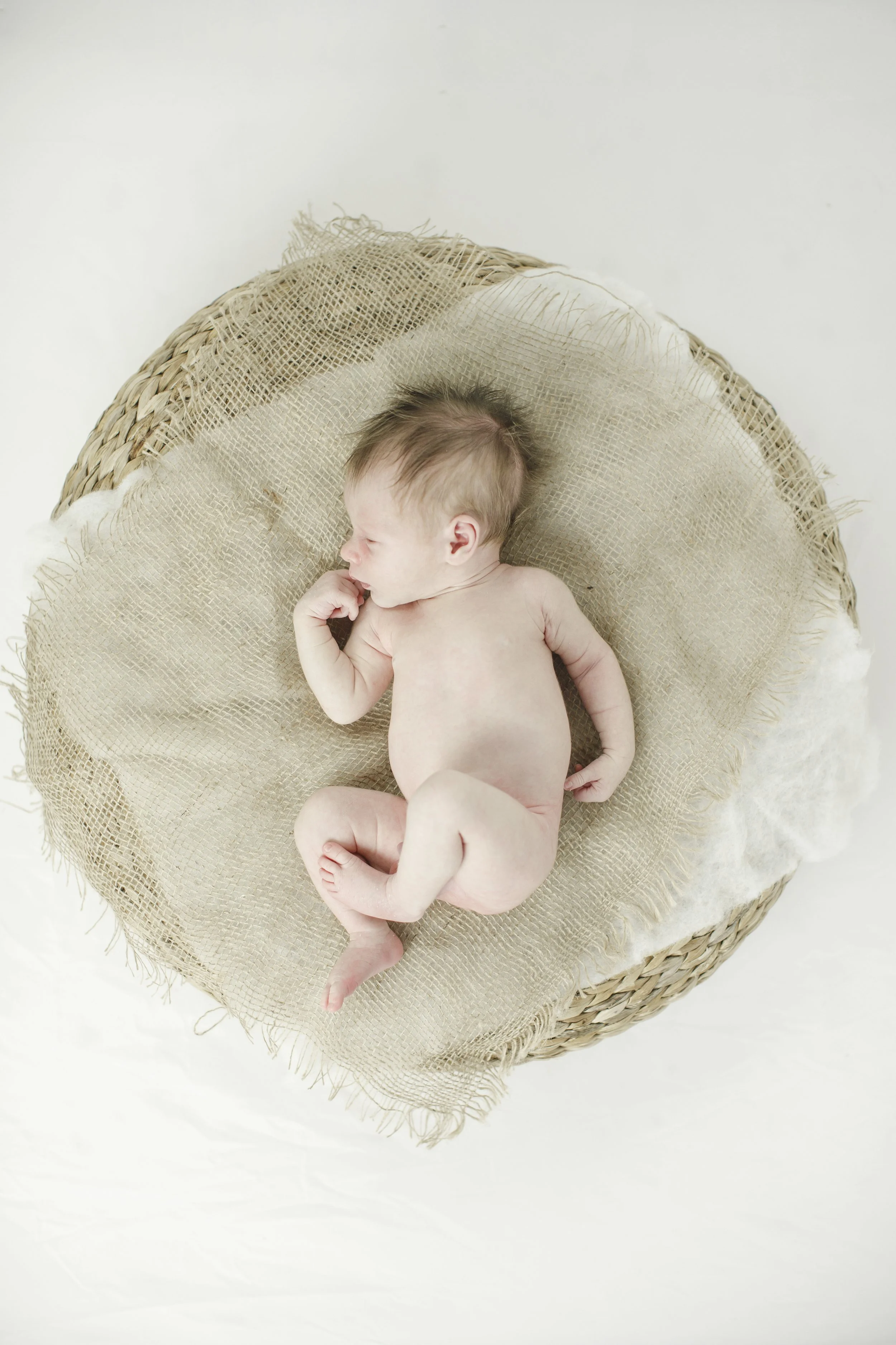 nyc-baby-photography-studio-portraits4020.JPG