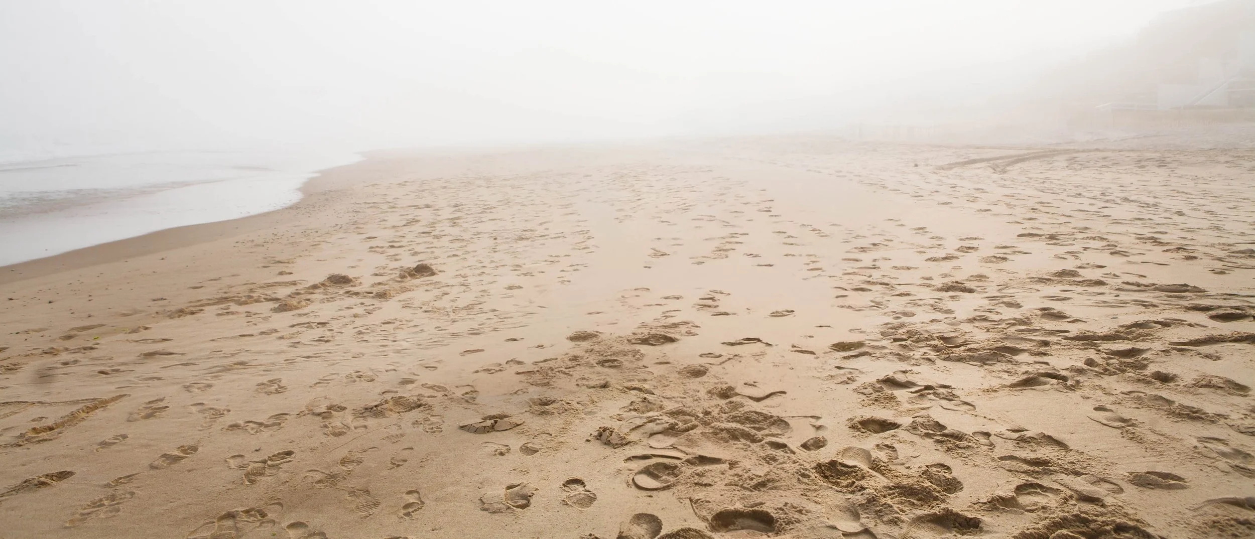 THE HAMPTONS COLLECTION