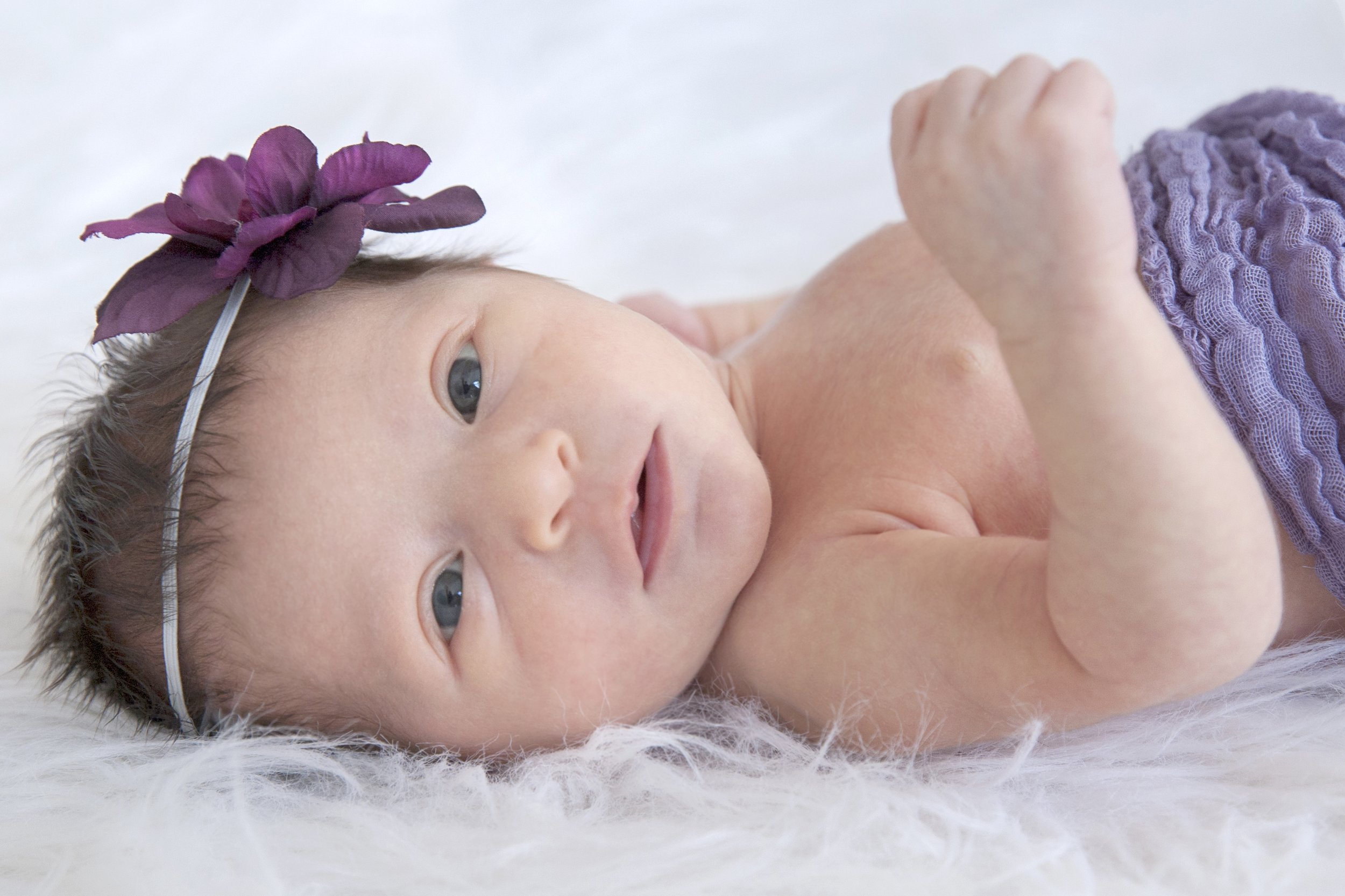 nyc-baby-photography-studio-portraits4005.JPG