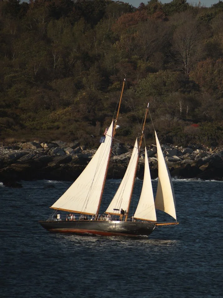 A sailboat with white sails on a body of water near a rocky shoreline and a forested hill in the background.