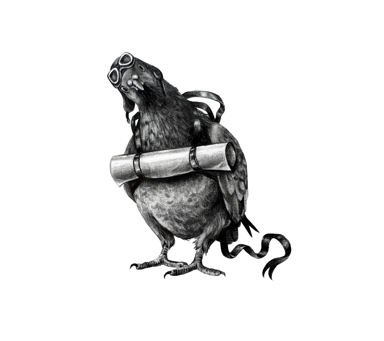 A detailed black and white drawing of a carrier pigeon wearing goggles and a backpack made of a rolled paper.