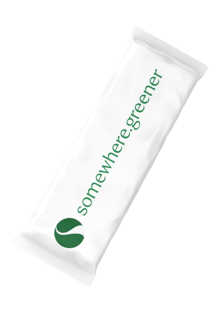 somewhere.greener logo mockup-2.png