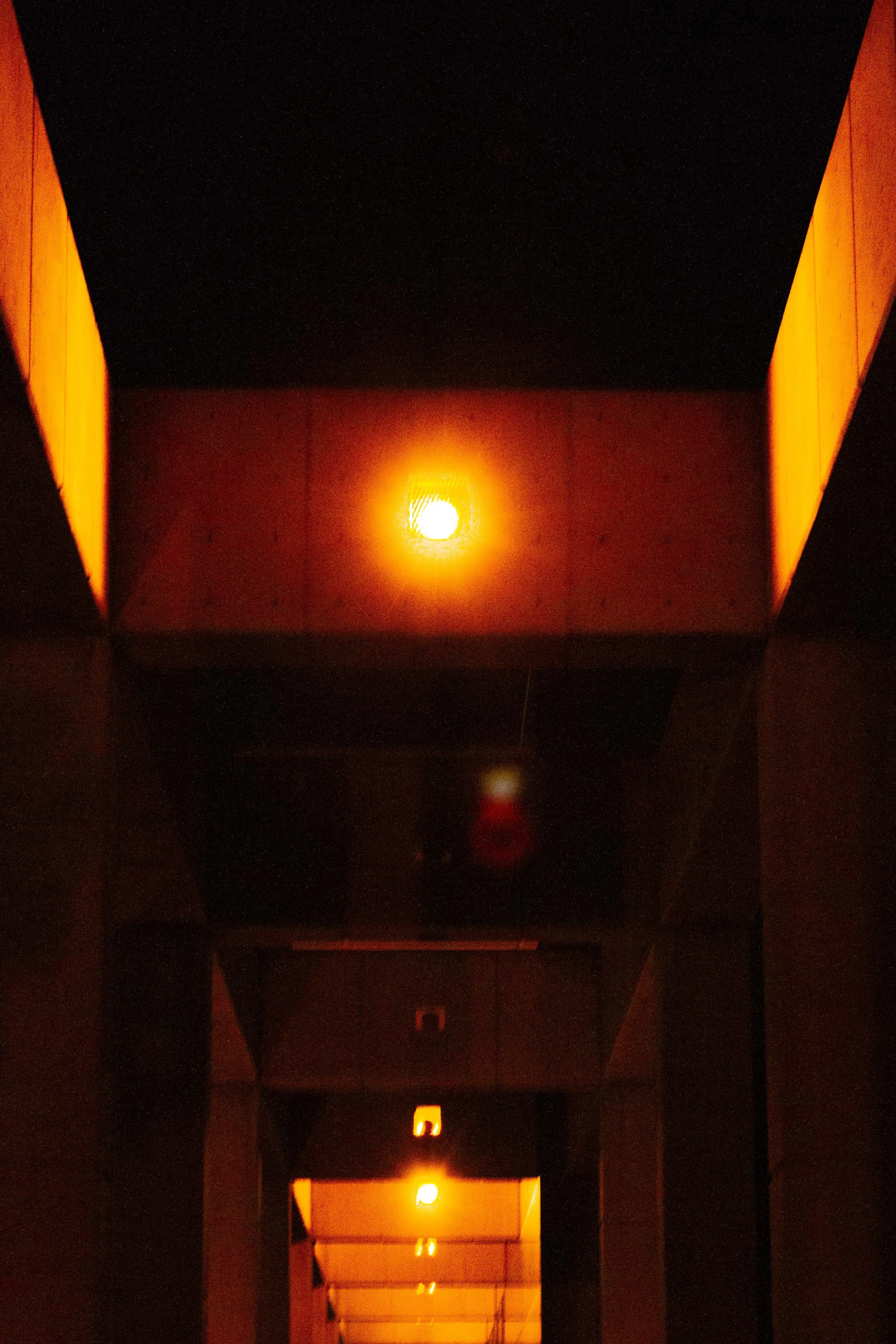_MG_9504.jpg