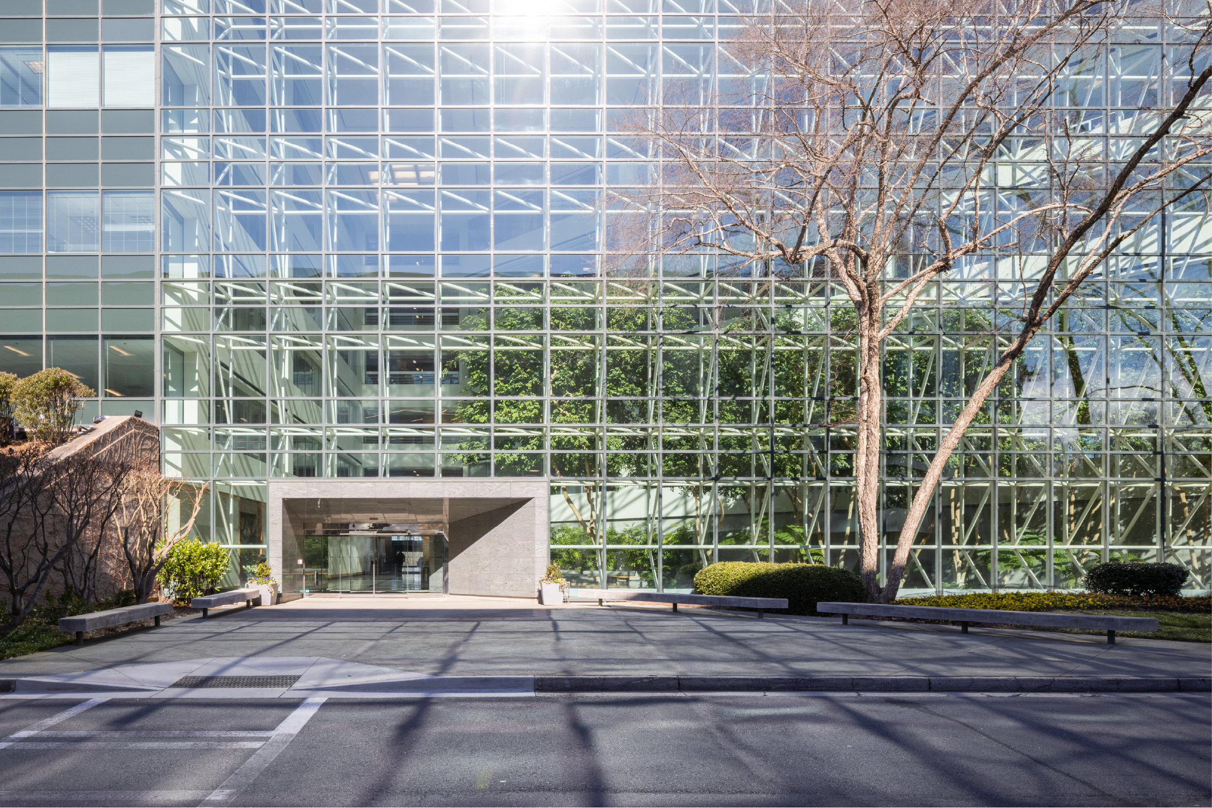 Modern glass building with trees and landscaping in front, showing reflections on the glass surface and shadows cast on the parking lot.
