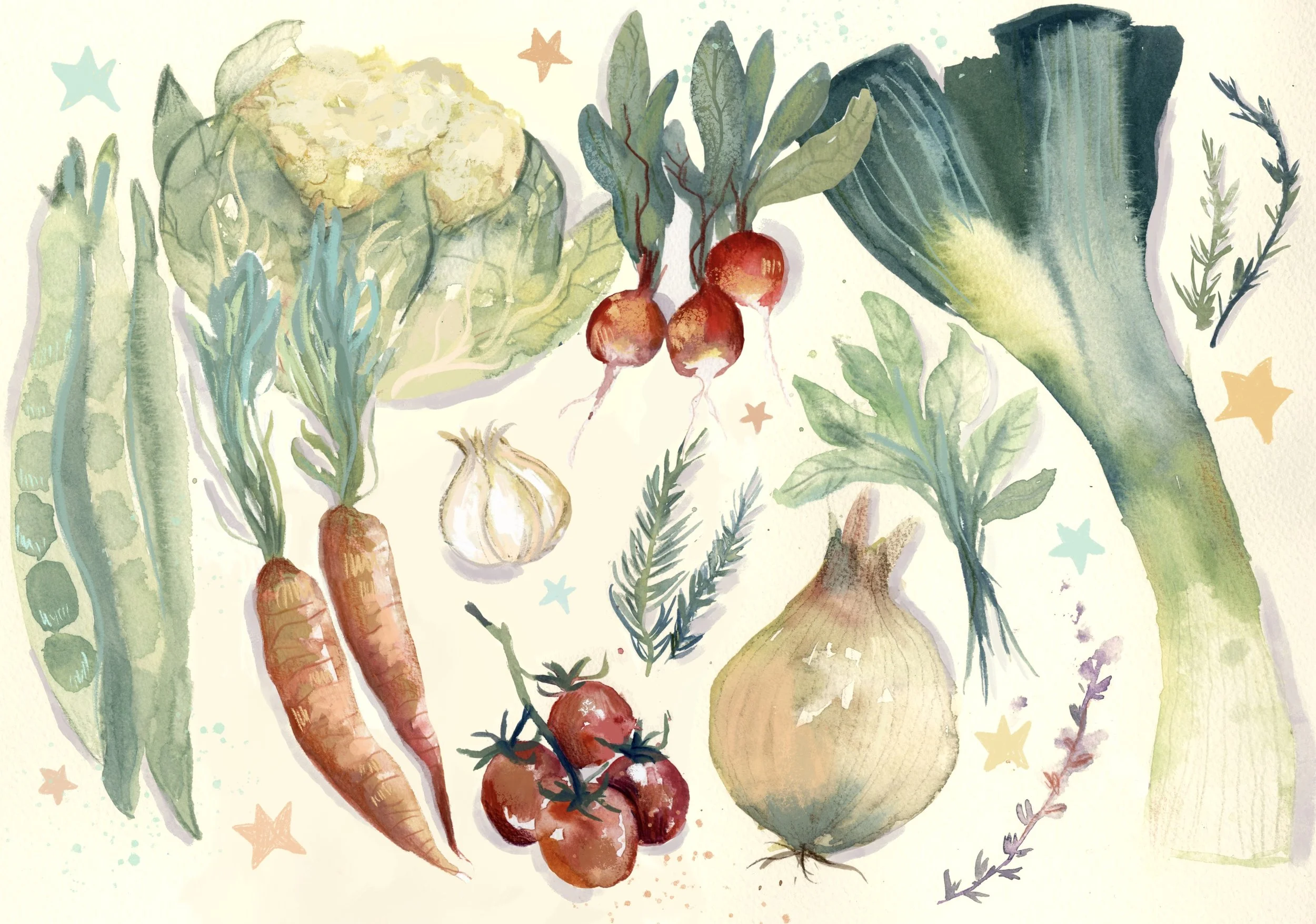 Food Illustration