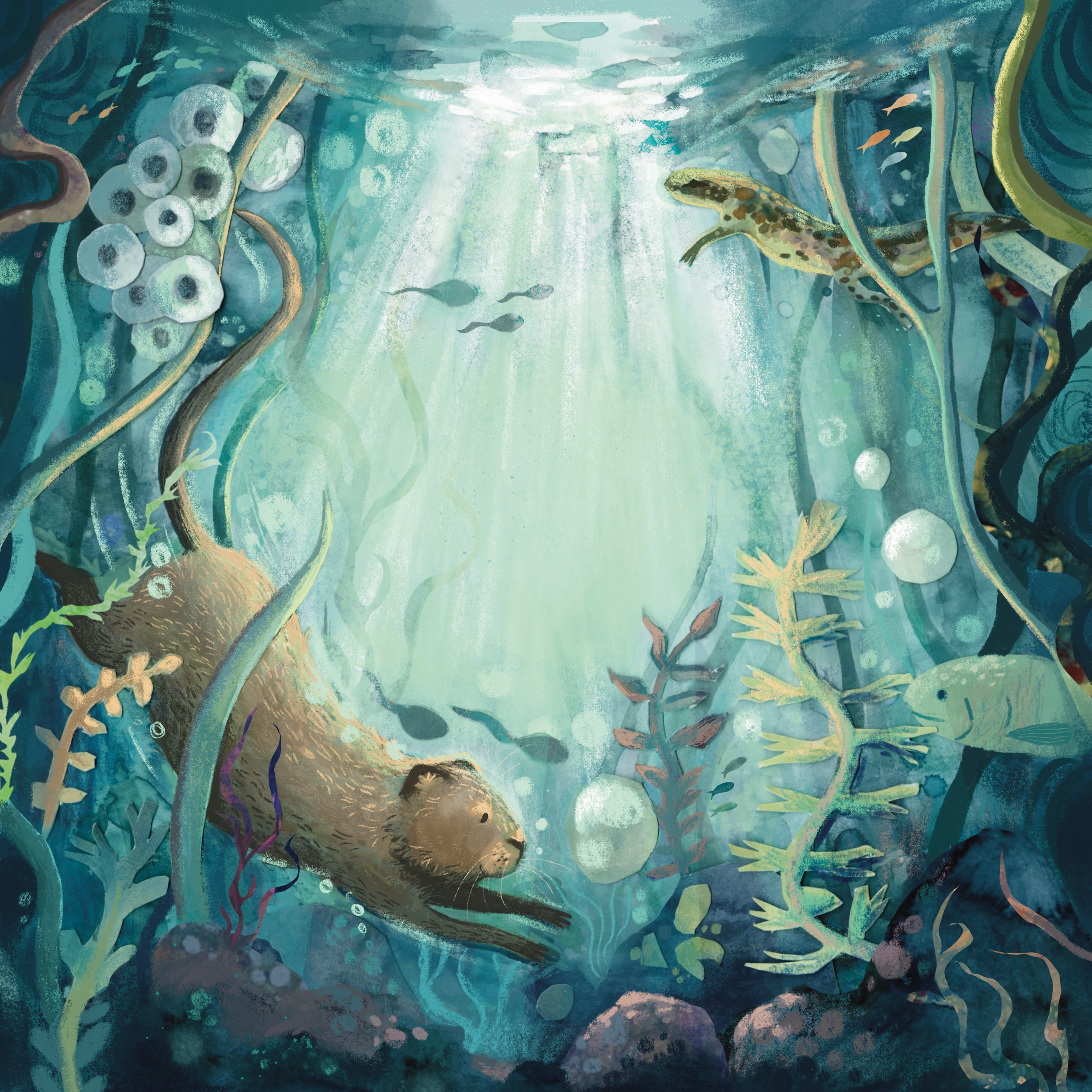 Children's Book