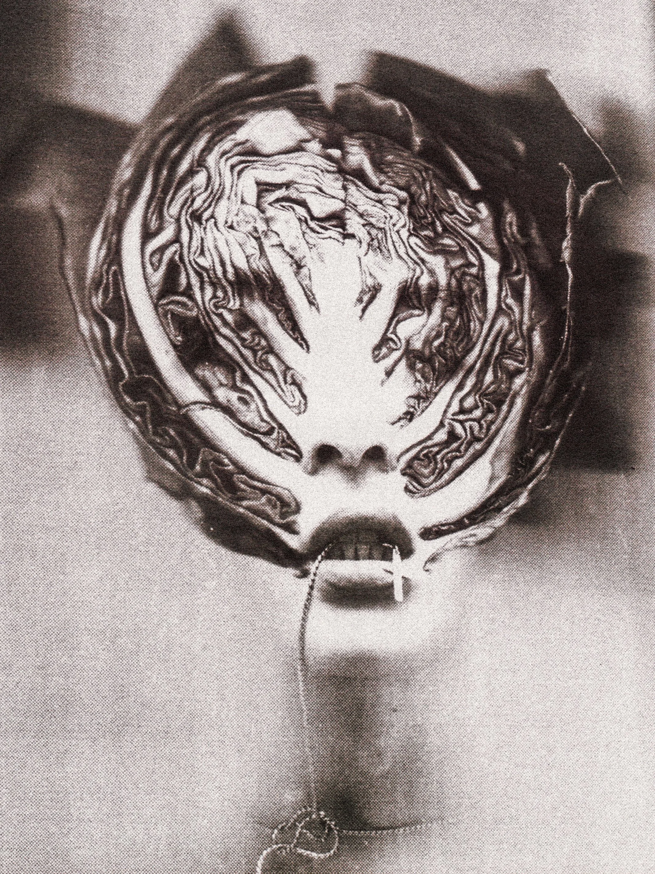 "cabbage brain"
self portrait photograph