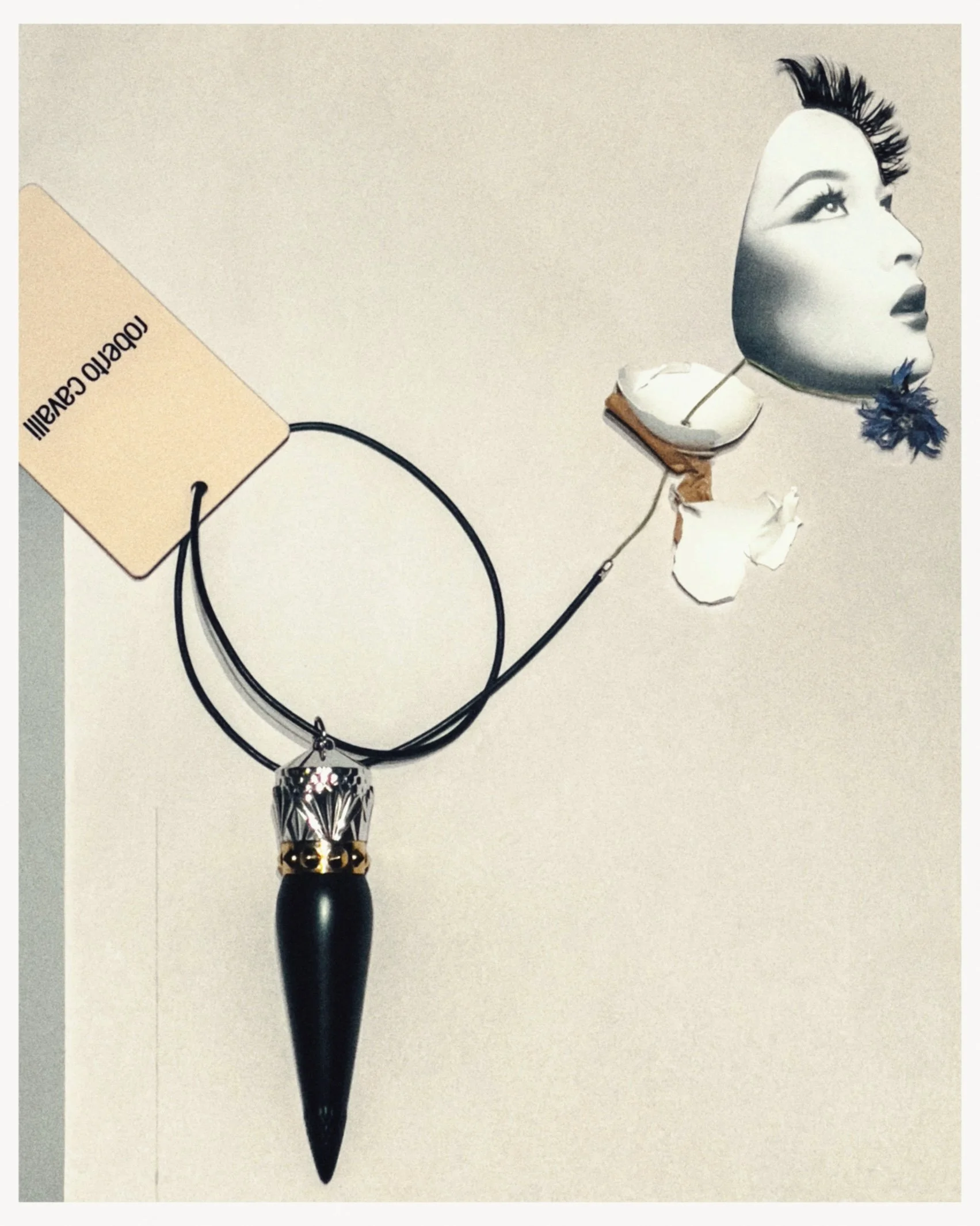 "fashion lifeline"
self portrait collage
lipstick, thread, eggshell, flower, paper, and ink on paper
9x12"