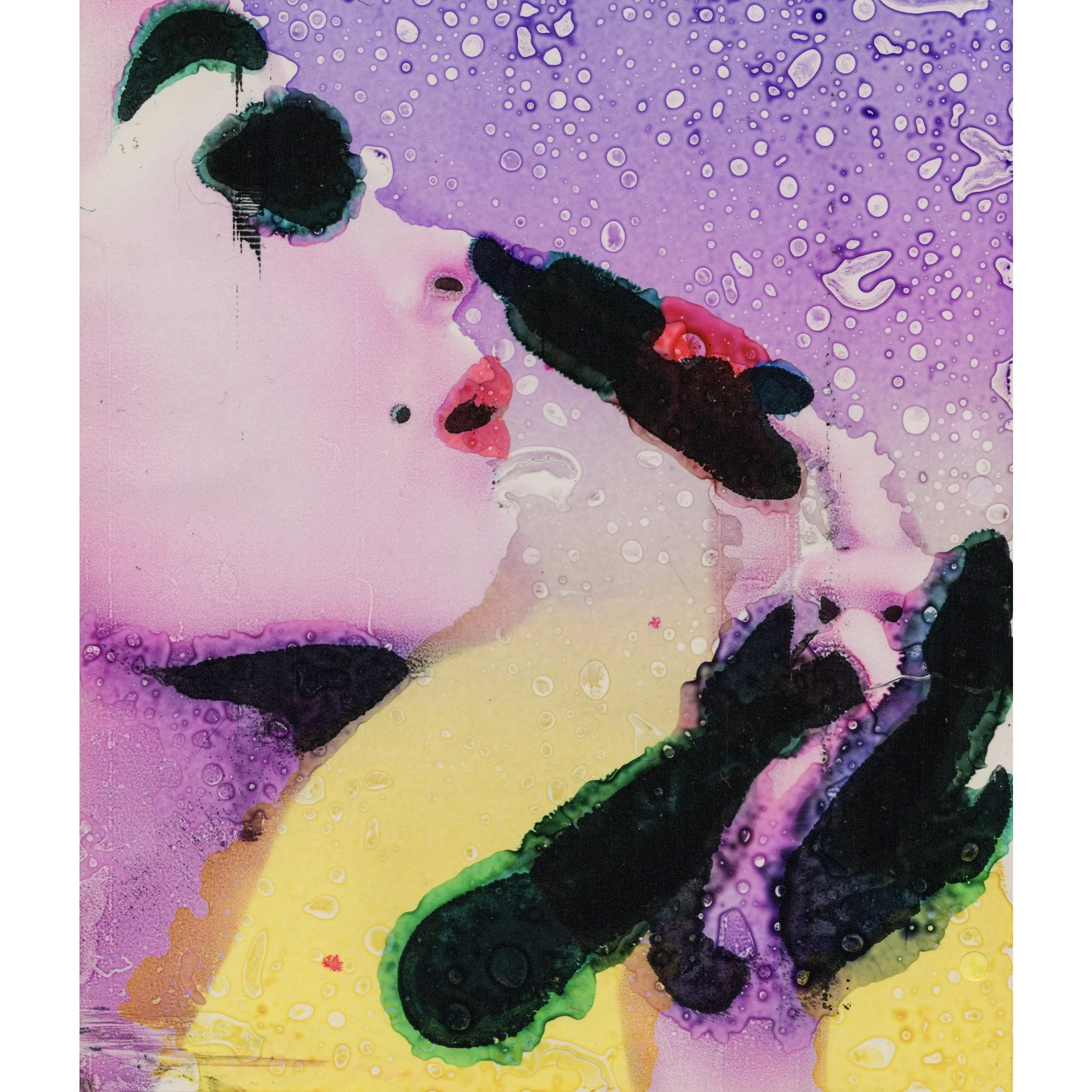 from Shiseido Commission
self portrait photograph
ink on transparency film
8.5x11"