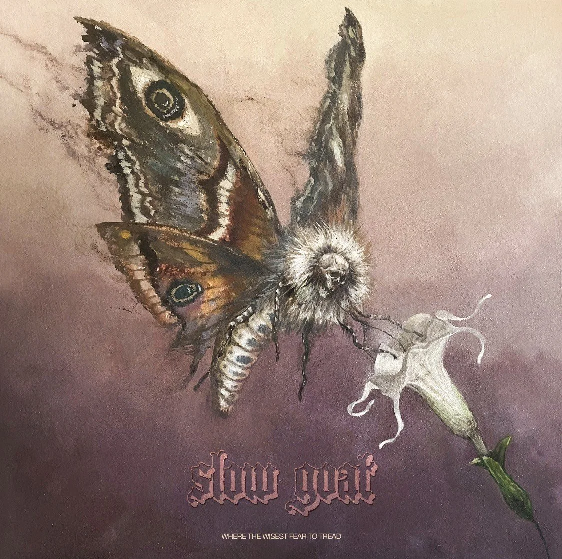 A detailed painting of a butterfly with textured, colorful wings, a dog's face in the center of the butterfly's body, and a partially open flower with green leaves at the bottom right. The text 'Slow down' and 'WHERE THE WISEST FEAR TO TREAD' are at the bottom.
