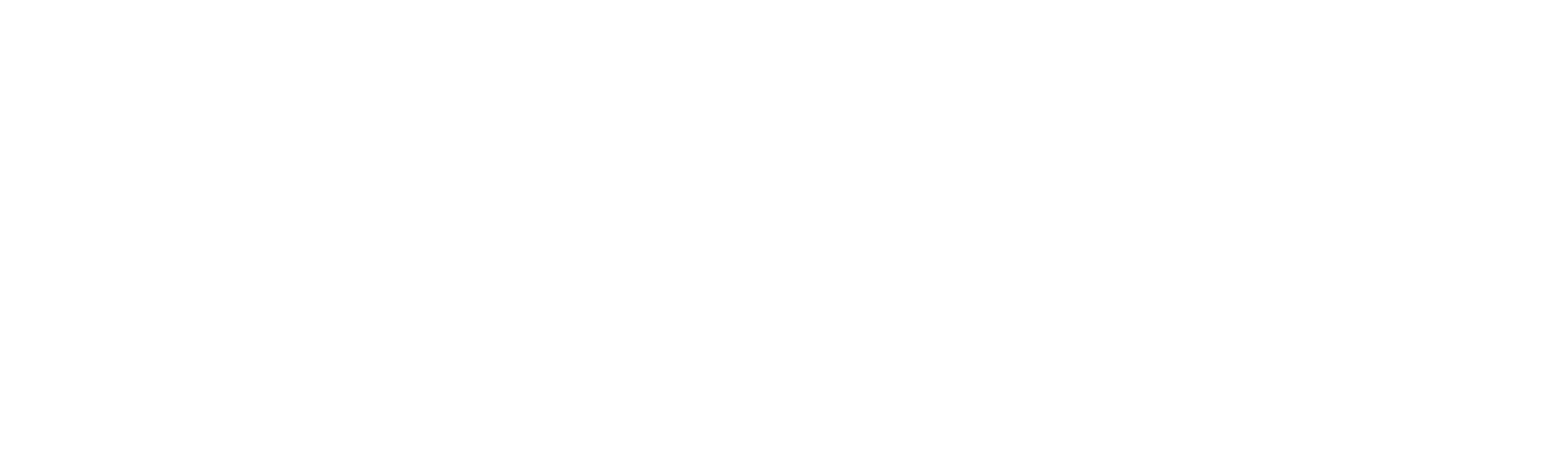 Black and white logo featuring stylized text and shapes with the word 'Saisega' underneath.