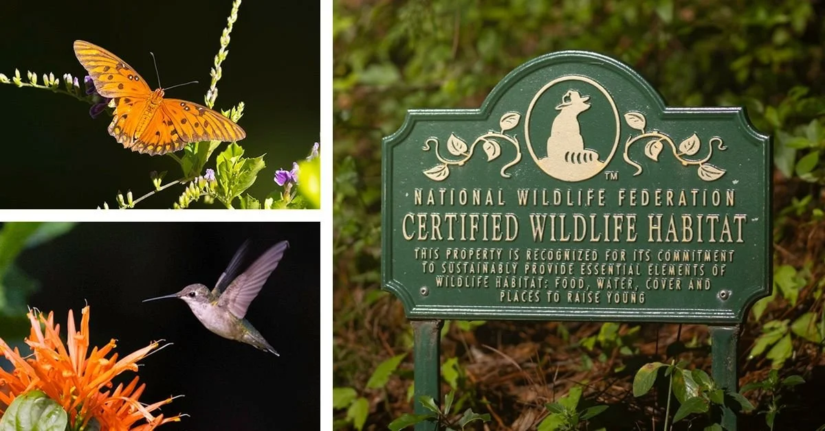 Cultivating a Home for Wildlife at Cedar Lakes Woods and Gardens