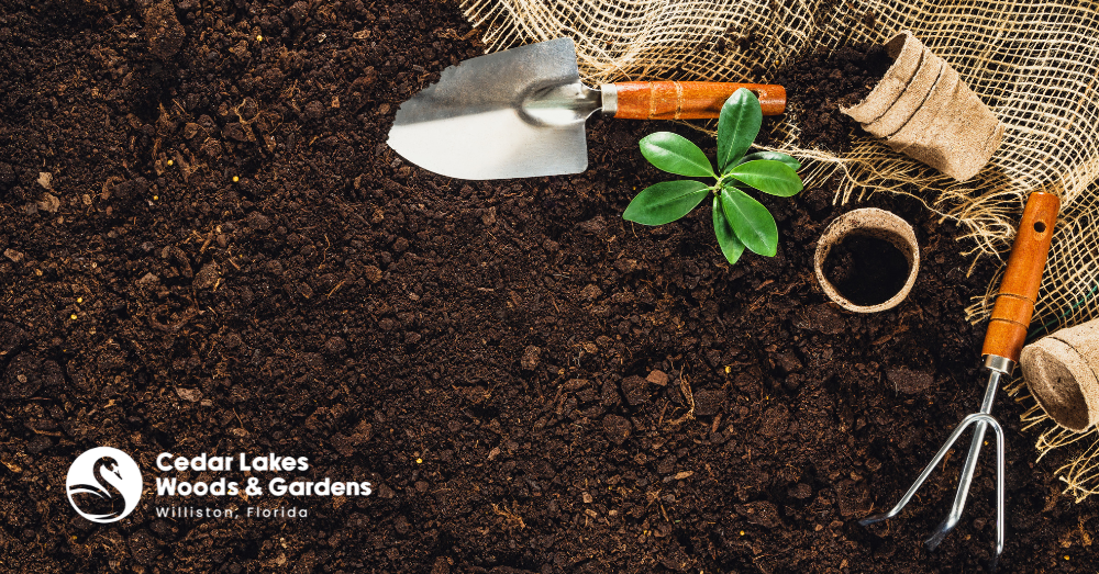 Give Your Tools Some TLC: Simple Maintenance Tips Every Gardener Should Know