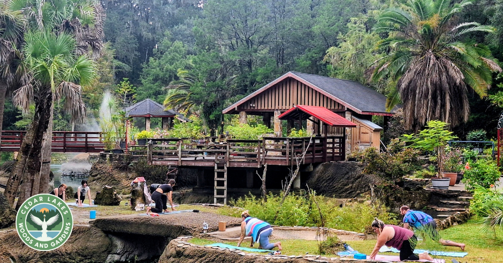 4 Unforgettable Day Trips Near Ocala for Outdoor Lovers