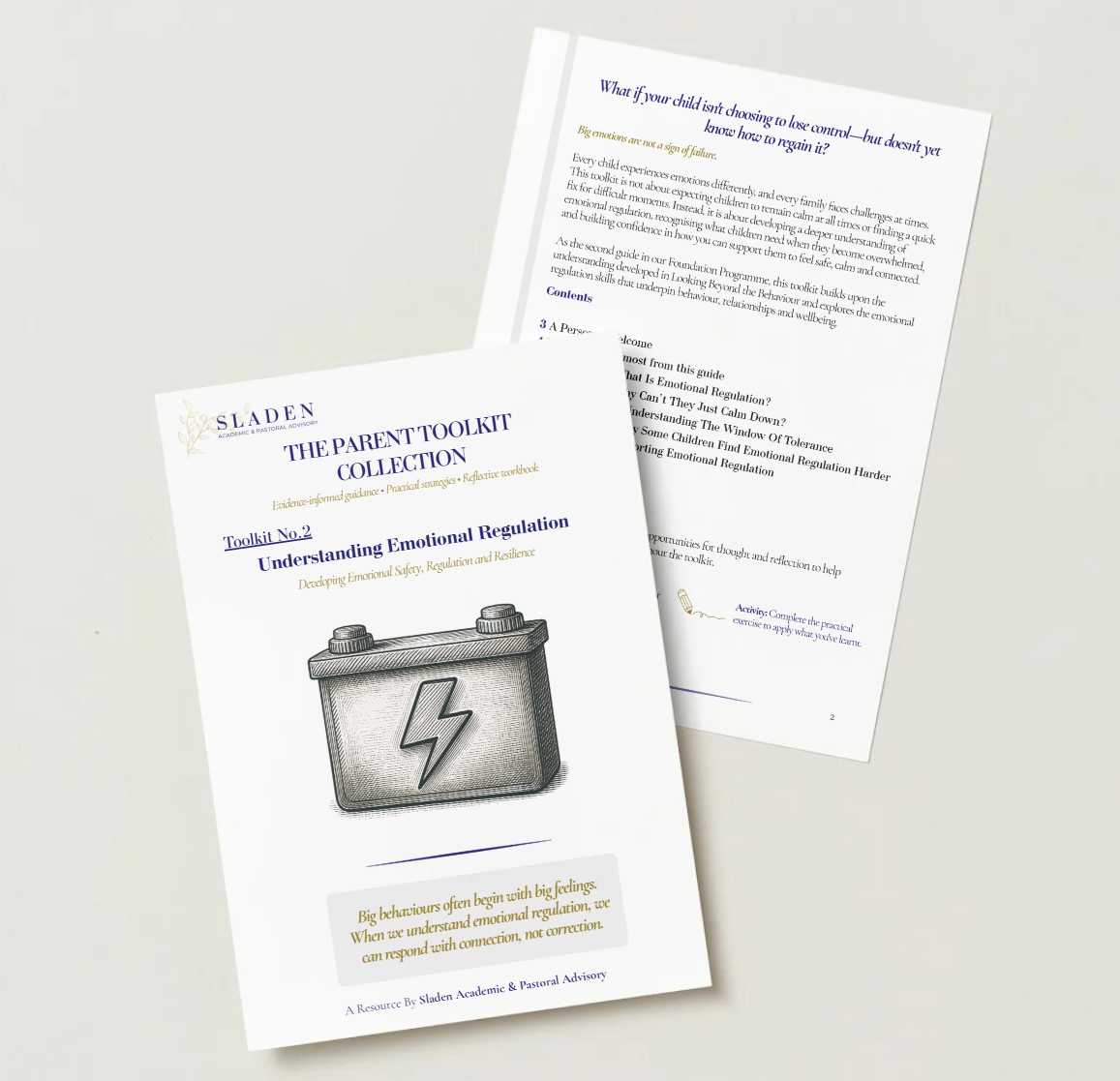 Toolkit Two: Understanding Emotional Regulation (Physical Copy)