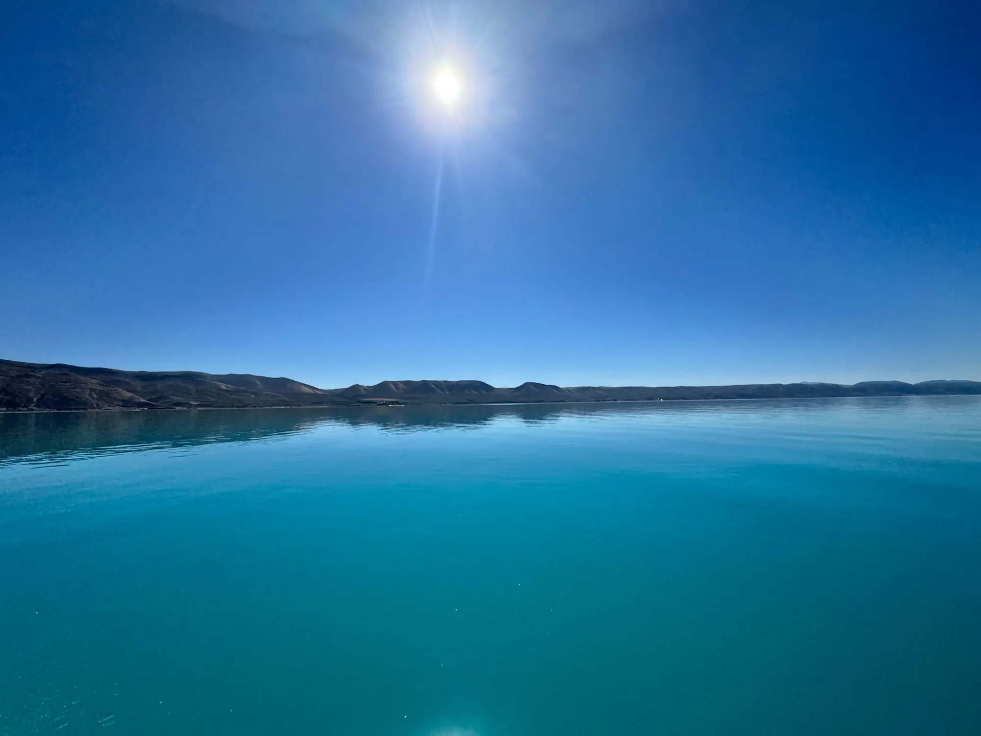 The 5 Month Check-In