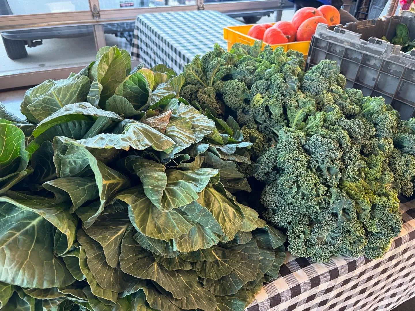 Fresh green lettuce and curly kale displayed on a checkered tablecloth at a market stand.