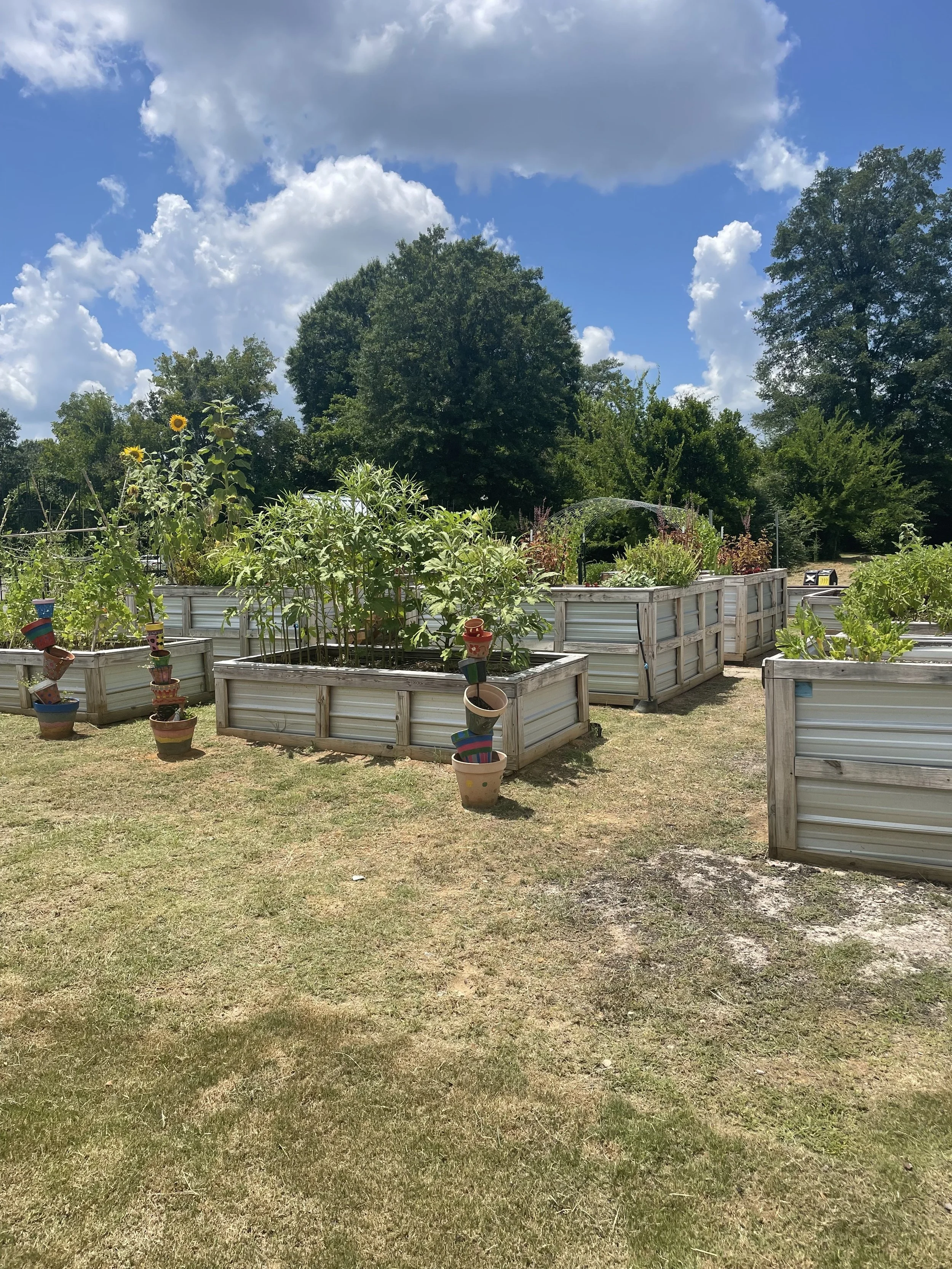 A community garden with raised wooden beds filled with green plants and flowers, surrounded by colorful flowerpots, under a blue sky with clouds and trees in the background.